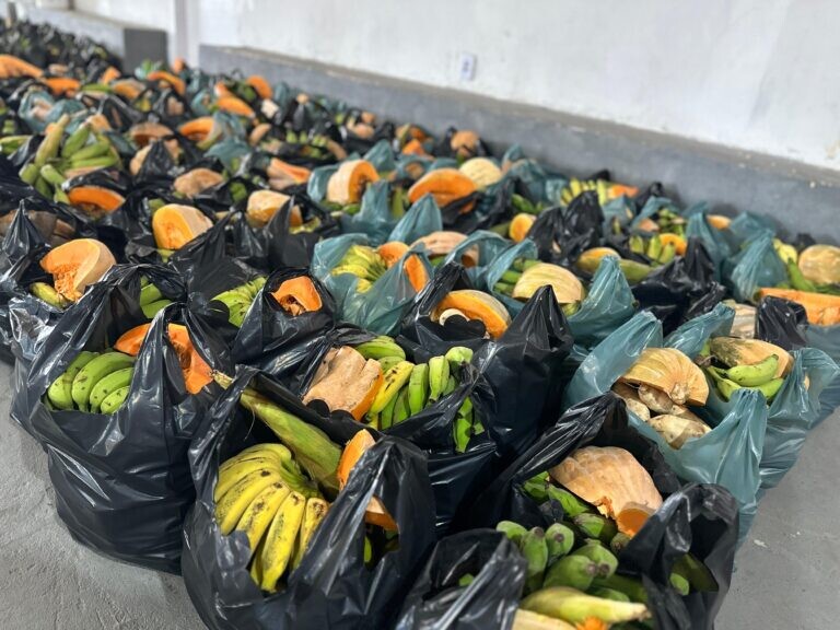 Sergipe celebra segurança alimentar com 4 mi de refeições entregues 10 tmp6o987y10