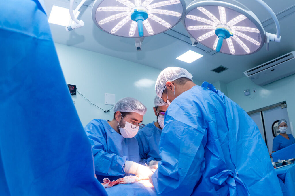 Crescimento nos Transplantes em Sergipe Renova Esperança para Pacientes 3 tmpaq7nlqdq