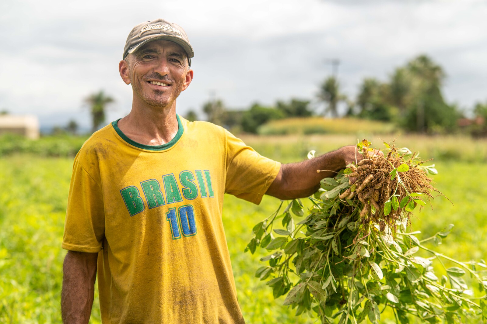 Irrigação em Sergipe melhora produção de alimentos típicos para o São João 5 tmpfy 8hmft
