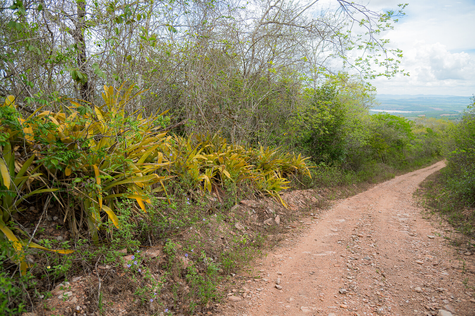 Sergipe cria Monumento Natural Serra da Melancia e protege caatinga no sertão 5 tmpgq7gen05