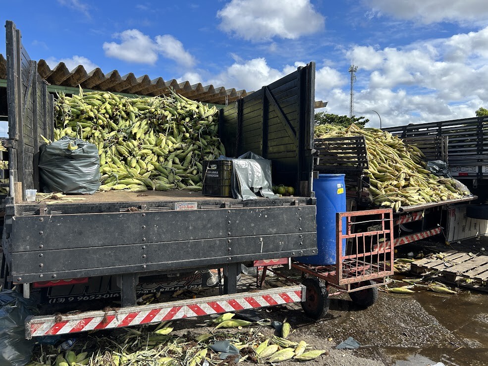 Feira Junina da Ceasa Aracaju promete forró pé de serra e boas vendas 5