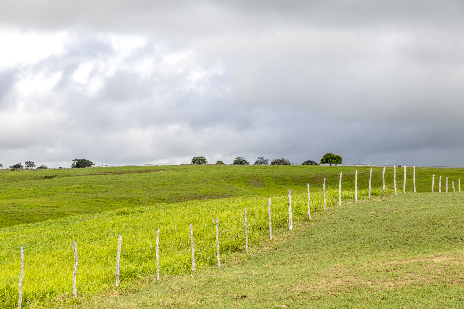 Sergipe terá semana de céu nublado e chuvas fracas; veja as temperaturas 2