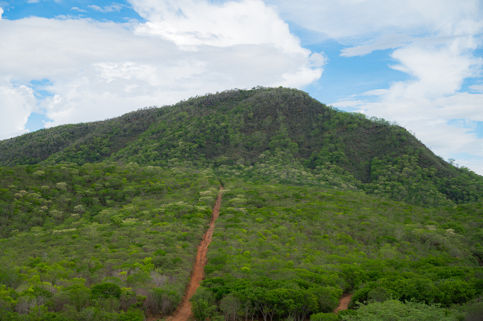 Sergipe cria Monumento Natural Serra da Melancia e protege caatinga no sertão 6 tmpqwu2k5if
