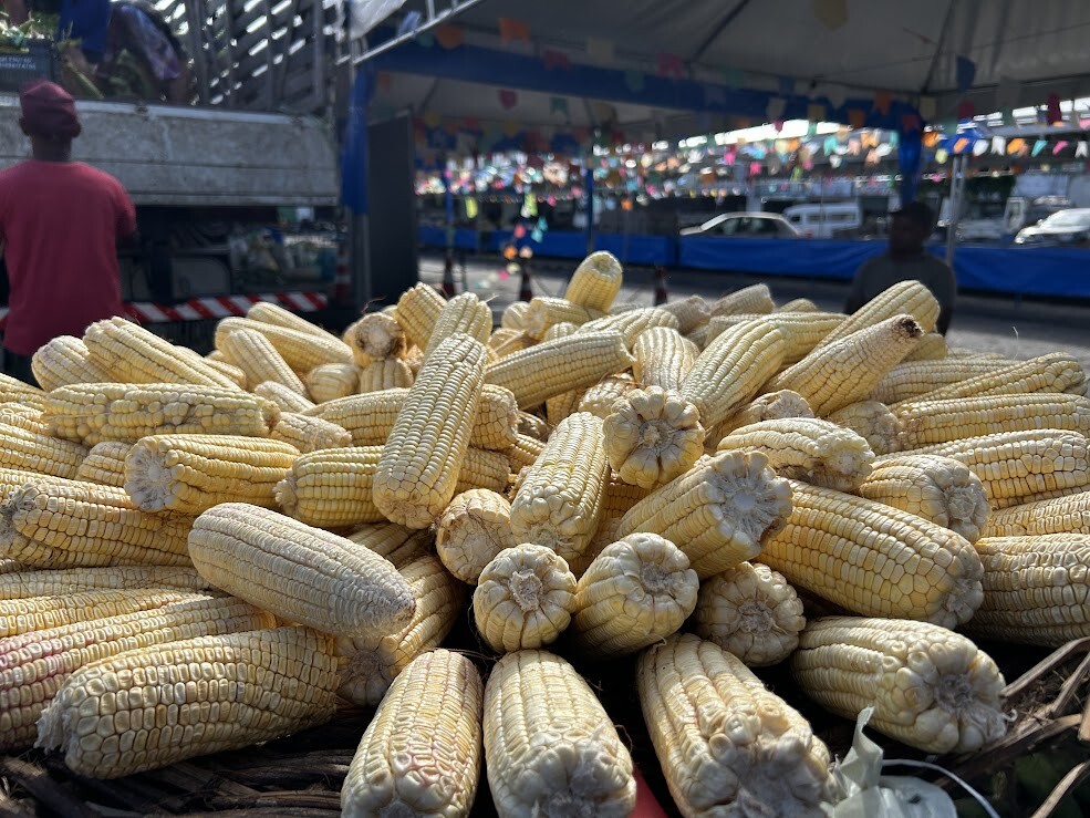 Feira Junina da Ceasa Aracaju promete forró pé de serra e boas vendas 7 tmprn0era9t