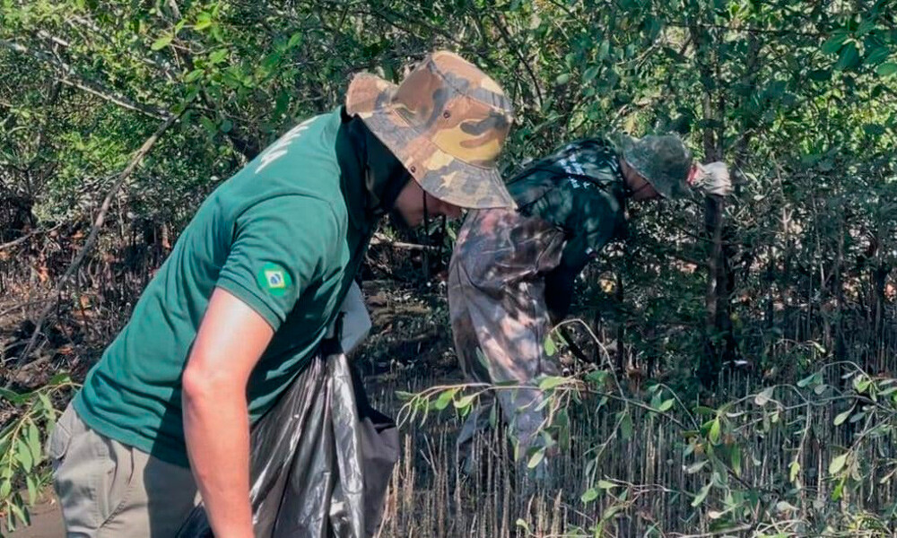 SP abre concurso com 70 vagas e salários de até R$ 11 mil na área ambiental 2 tmptt2f pwz