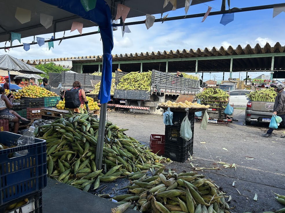 Feira Junina da Ceasa Aracaju promete forró pé de serra e boas vendas 8 tmpw3h2il3y