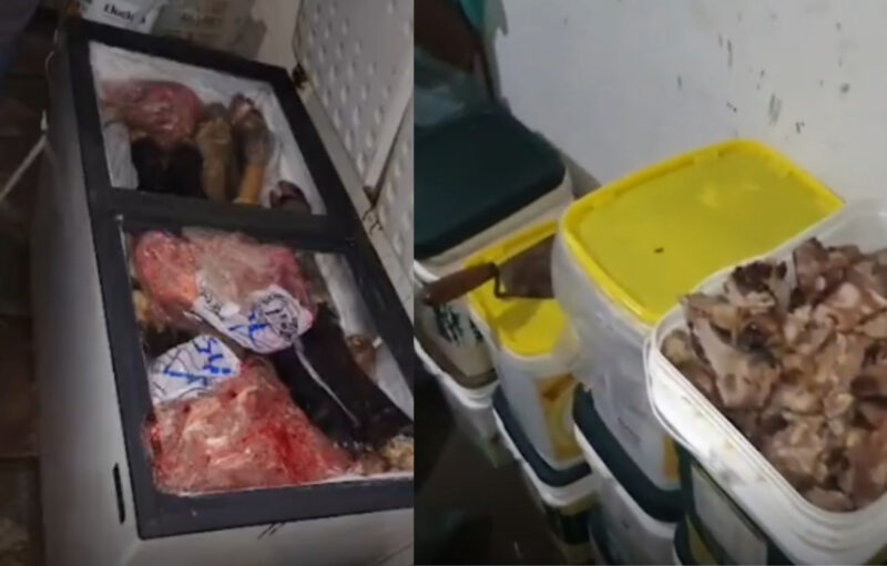Casas viram depósito clandestino e 8 toneladas de carne são apreendidas em Lagarto