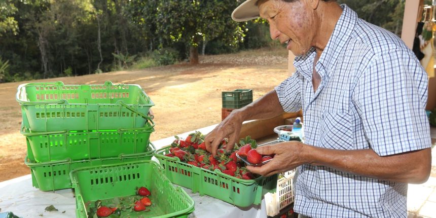 finep abre r 220 mi para tecnologia na agricultura familiar 20260702