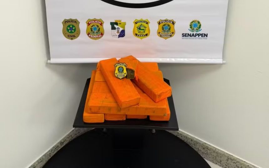 fuga termina em batida e pris o com 10kg de maconha na br 10 20260703