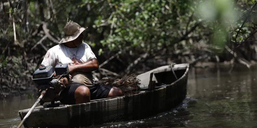 pescadores artesanais recebem r 874 mi do inss a partir de 7 20260702