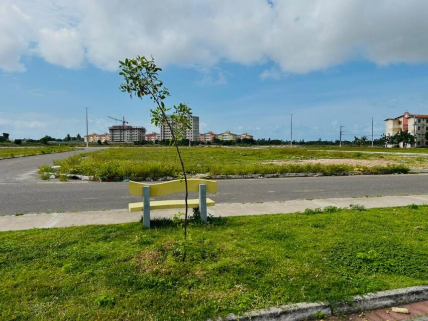 prefeitura de aracaju monitora desenvolvimento de 337 mudas 20260714