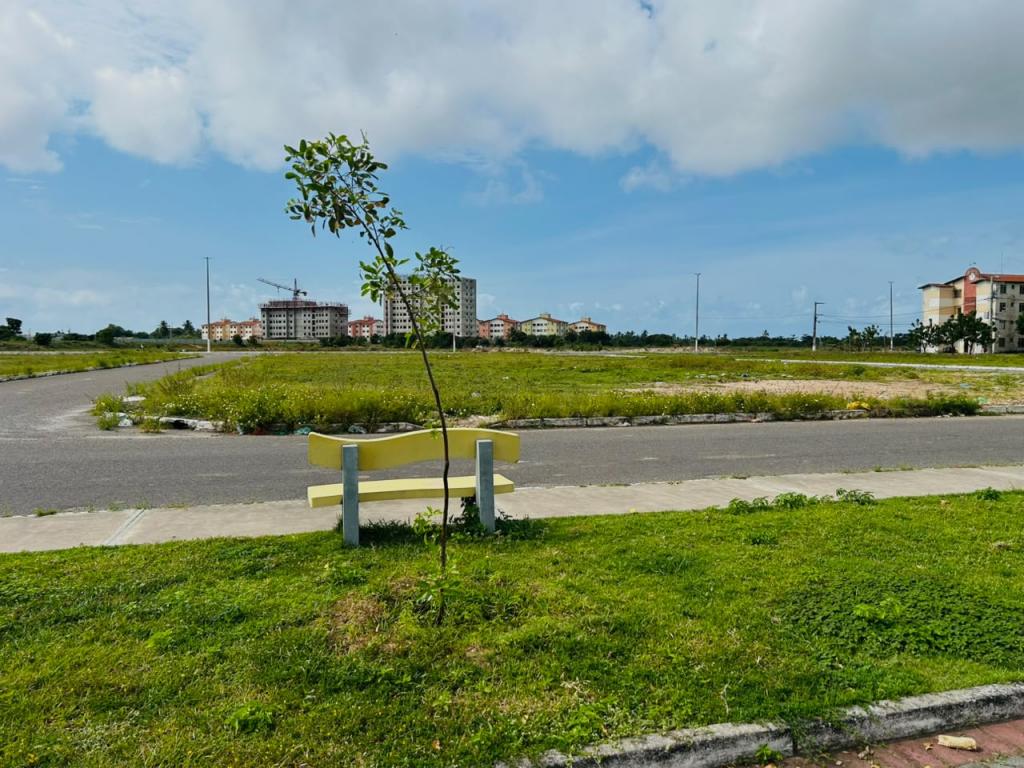 prefeitura de aracaju monitora desenvolvimento de 337 mudas 20260714