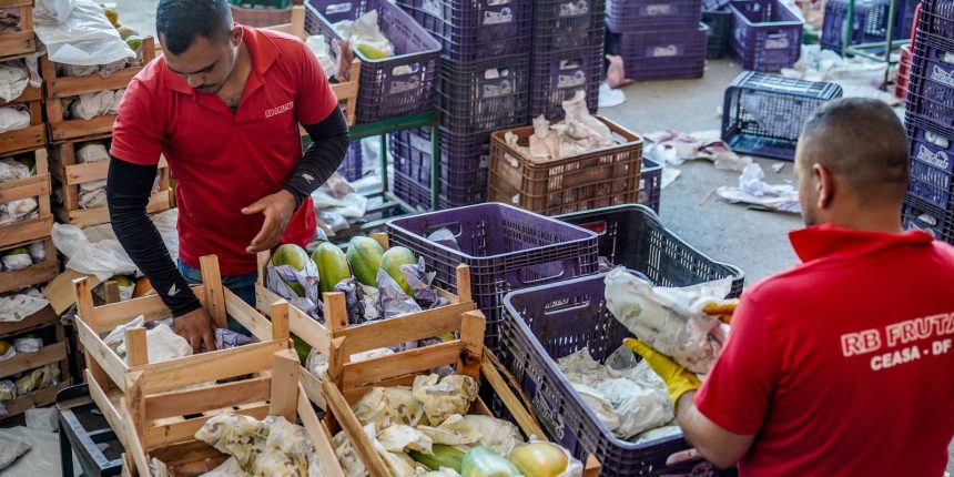 pronaf recebe r 85 2 bi e beneficia 2 4 milh es de agriculto 20260701