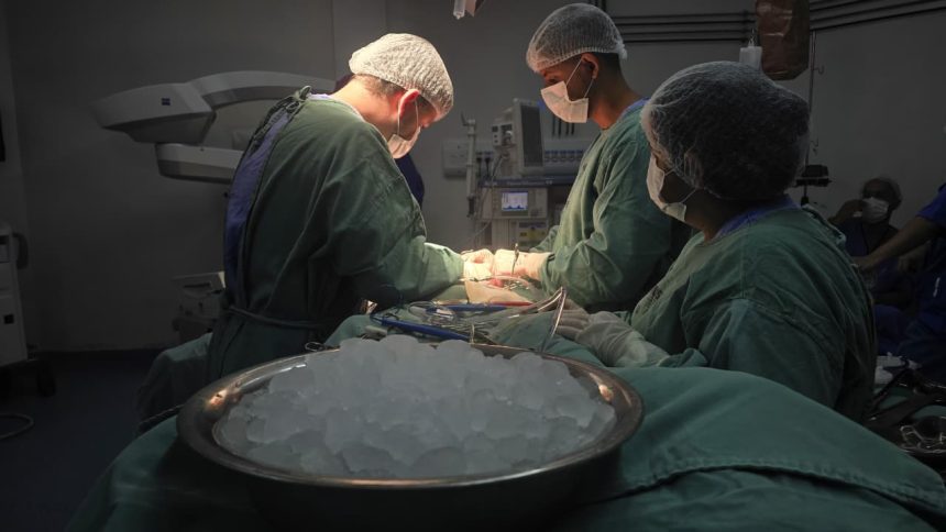 sergipe v aumento de 25 8 nas doa es de rg os no primeiro se 20260702