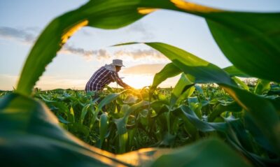 Agricultura familiar leva Pronaf a superar R$ 1 bilhão em Sergipe