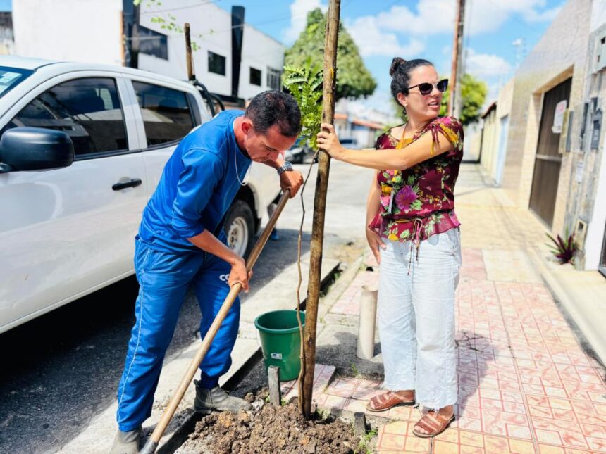 Aracaju amplia arborização com plantios em Salgado Filho e Siqueira Campos