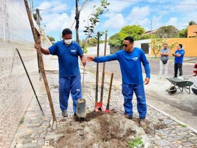 Calçada Viva planta oito mudas em residências do bairro Aruana