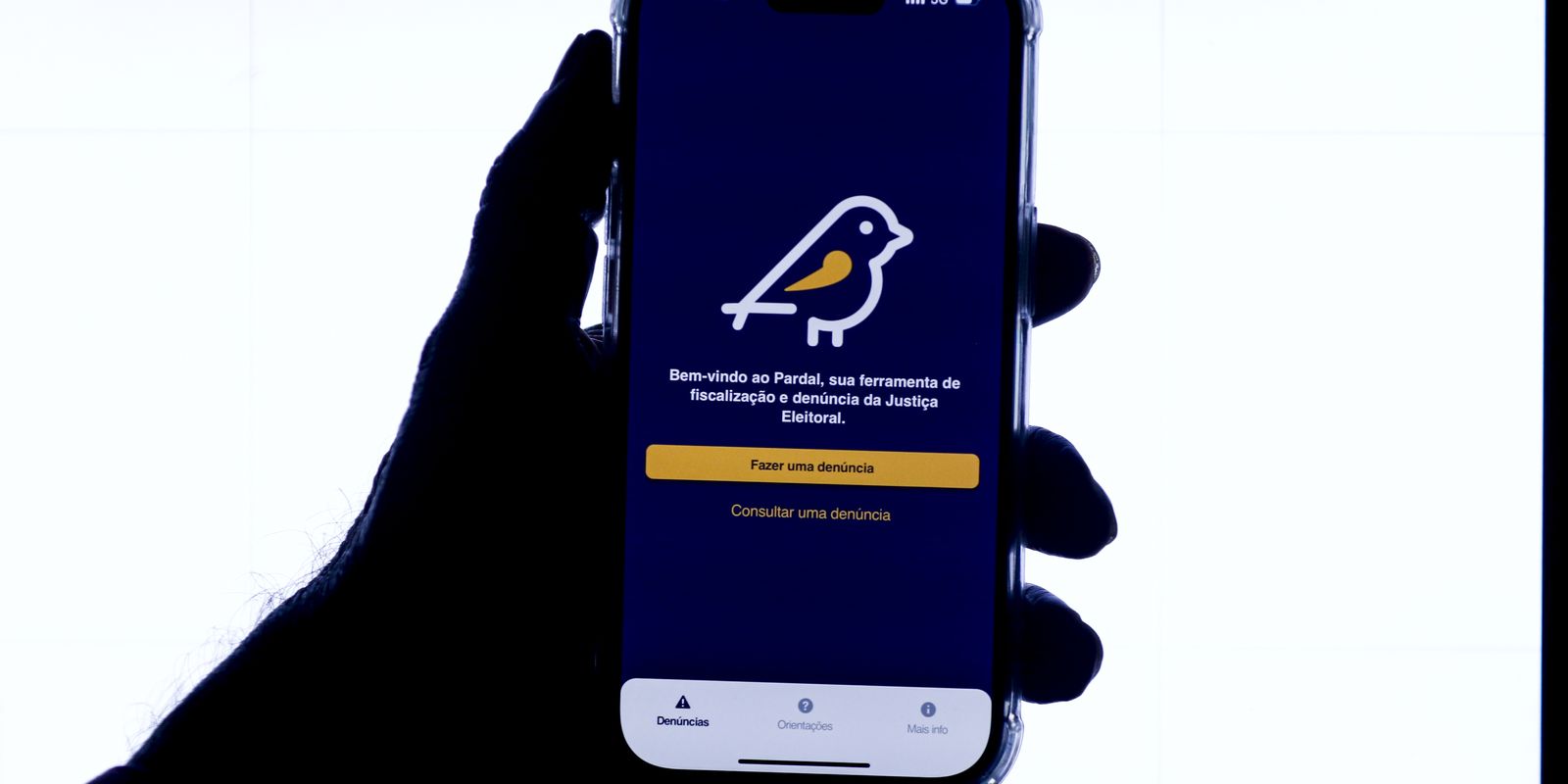 Eleitor pode denunciar propaganda irregular pelo app Pardal Móvel