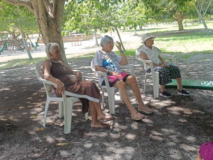 Idosas do Centro Dia participam de atividade no Parque da Sementeira
