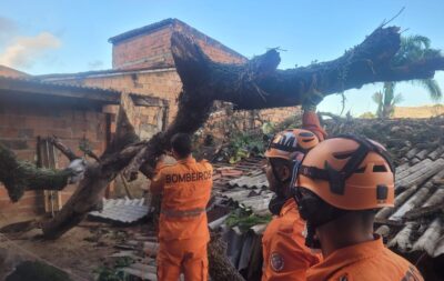 Mangueira tomba sobre telhado e mobiliza bombeiros na madrugada em Aracaju