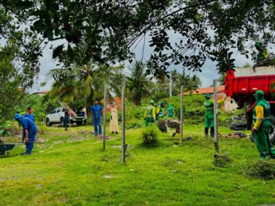 Moradores do Mosqueiro impulsionam plantio de nativas perto de manguezal