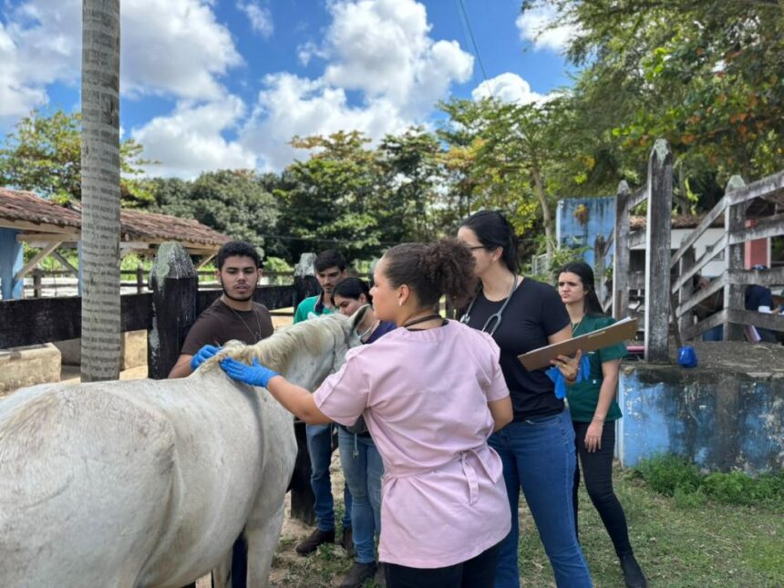 Parceria reforça cuidados com animais e formação veterinária em Aracaju