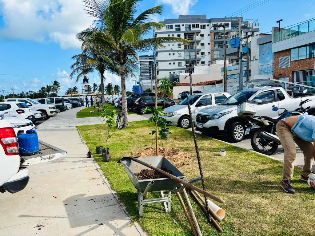 Prefeitura planta 10 mudas na Coroa do Meio após pedido de moradores