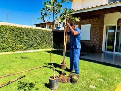 Projeto Calçada Viva inicia arborização-piloto no bairro Aruana