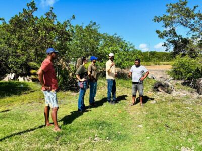 Sema realiza estudo para arborização na comunidade Areia Branca
