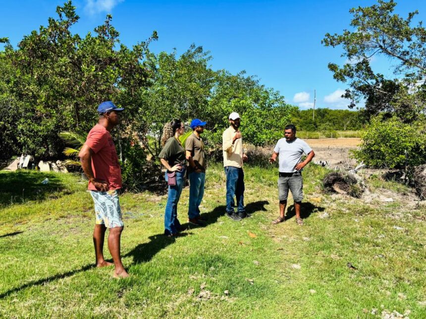 Sema realiza estudo para arborização na comunidade Areia Branca