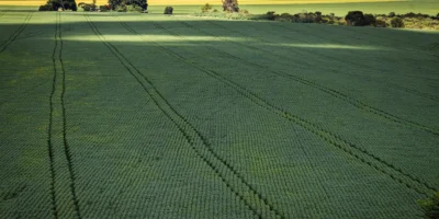 Senado libera incentivos para ampliar produção nacional de fertilizantes