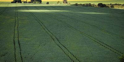 CMN libera novo refinanciamento para produtores afetados pelo clima