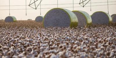 Criação de município muda ranking agrícola e tira Sorriso da liderança