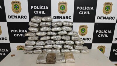 Denarc intercepta 24 kg de maconha em bagagens na rodoviária de Aracaju