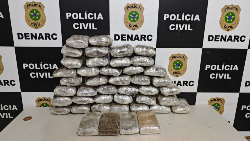 Denarc intercepta 24 kg de maconha em bagagens na rodoviária de Aracaju
