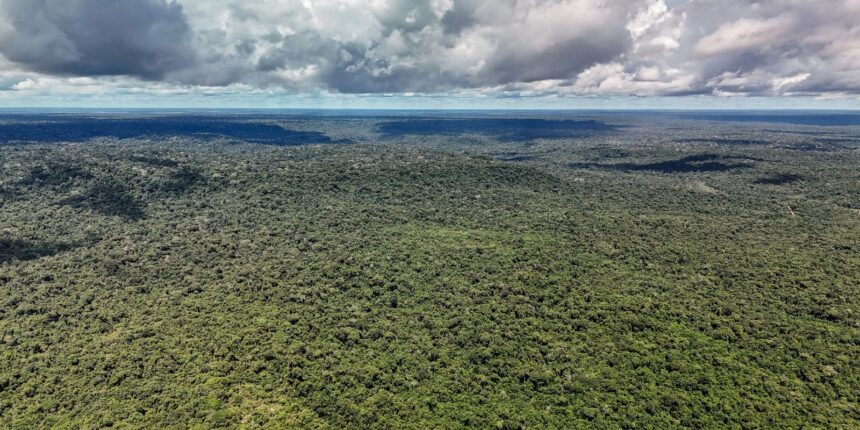 Governo destrava US$ 1 bi do BID para atrair investimento verde