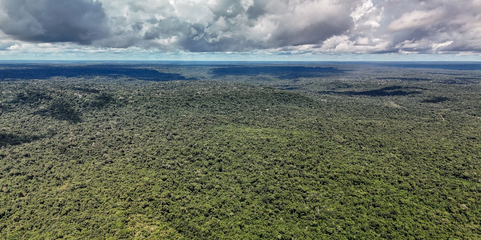 Governo destrava US$ 1 bi do BID para atrair investimento verde