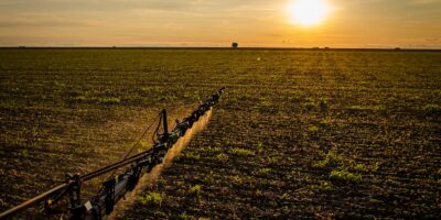 Lei acelera indenizações do seguro rural e amplia proteção no campo