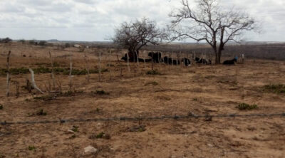 Seca se espalha por Sergipe e eleva risco de incêndios